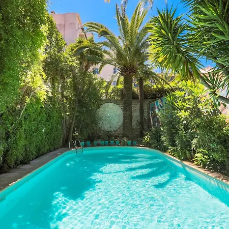 Le Windsor, Jungle Art Hotel-3